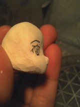 原型の頭部分正面