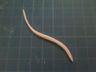 テンプレート使用後